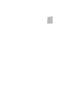 BitsAliveGameStudios_Logo_dark-transparent